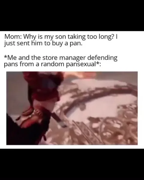 Defending Pans From a Pansexual