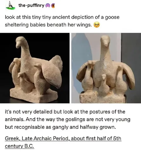 Ancient Goose Sheltering Goslings