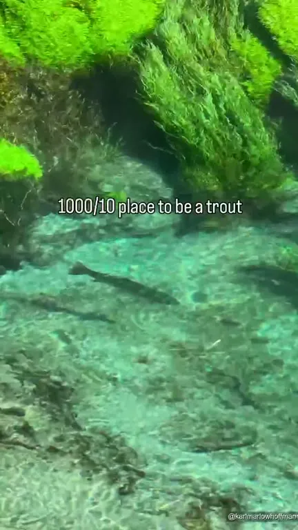 1000/10 Place to Be a Trout