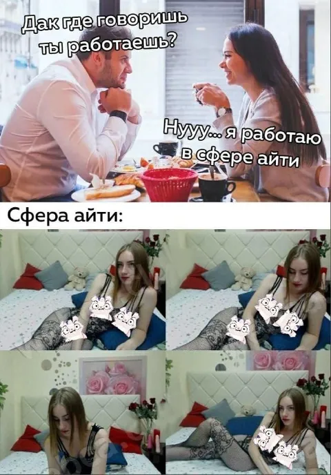 Сфера айти с котами