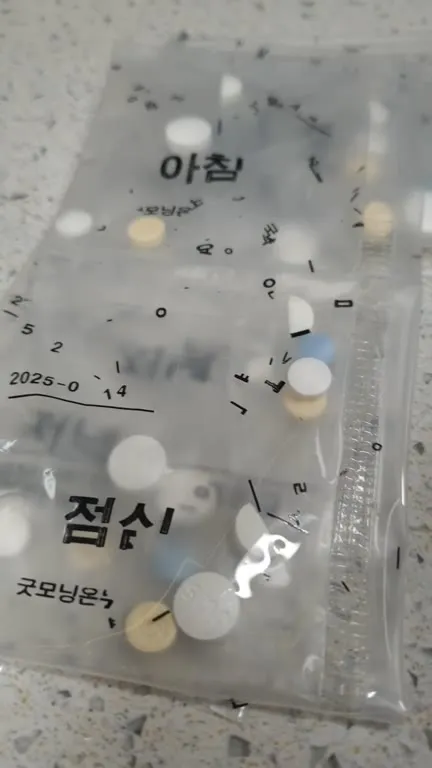 약 봉투 속 고양이
