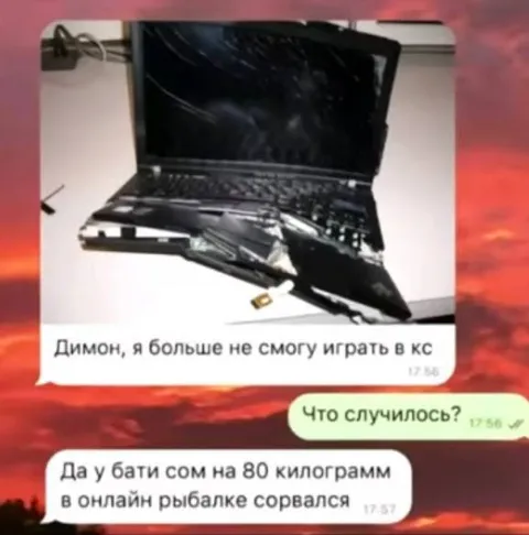 Сом сорвался в онлайн-рыбалке