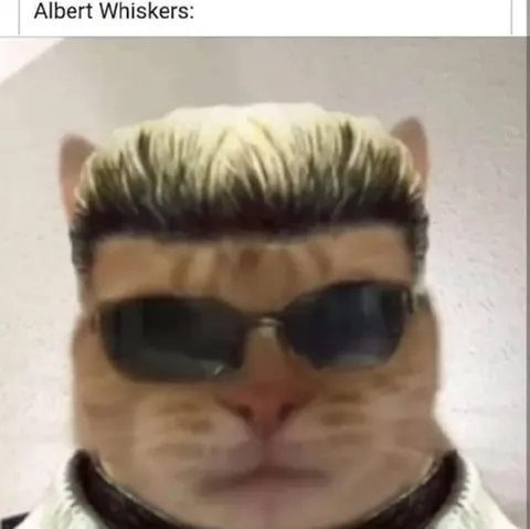 Albert Whiskers Cool Cat