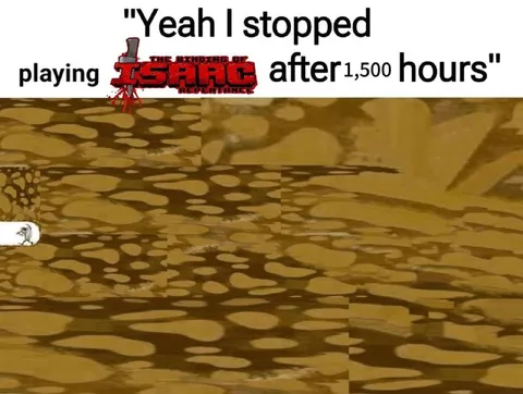 Stopped Playing After 1,500 Hours
