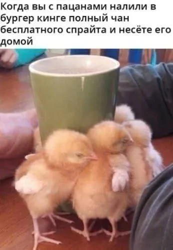 Чан бесплатного спрайта
