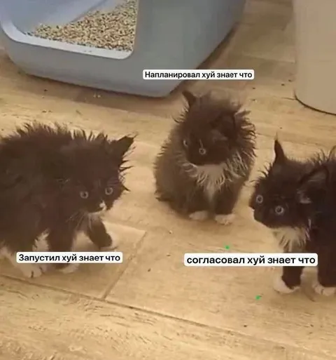 Хуй знает что в проекте