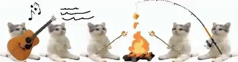 Кошачий концерт у костра