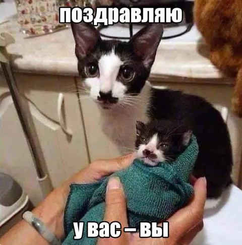 Поздравляю, у вас — вы