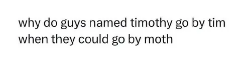Timothy Should Be Moth