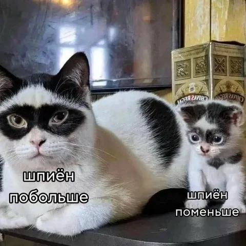 Шпион побольше и поменьше