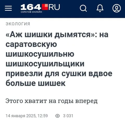 Шишки для сушки вдвое больше
