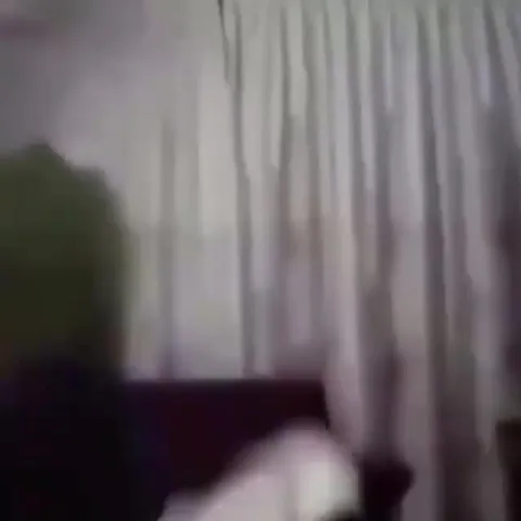 Домашний Harlem Shake