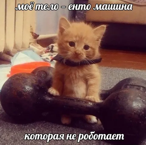 Котёнок-машина не работает