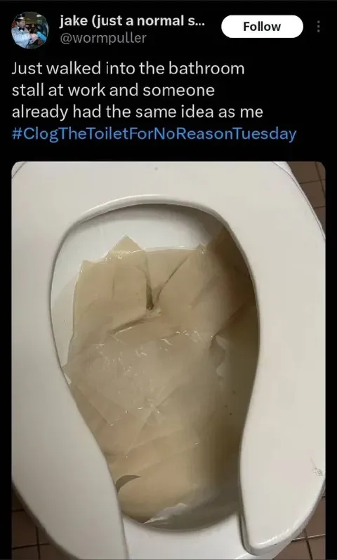 Clogged Toilet at Work