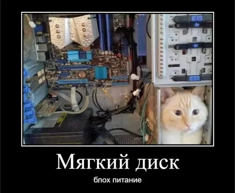Мягкий диск и блох питание