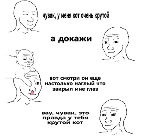 Крутой кот закрывает глаз