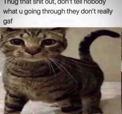 Sad Cat Hugs It Out