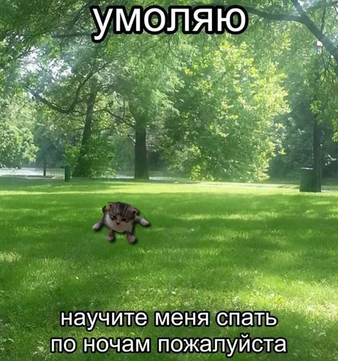 Научите меня спать по ночам