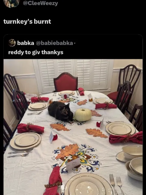 Burnt Turkey Thanksgiving Cat