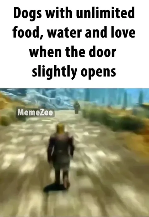 Dogs Escape When Door Opens