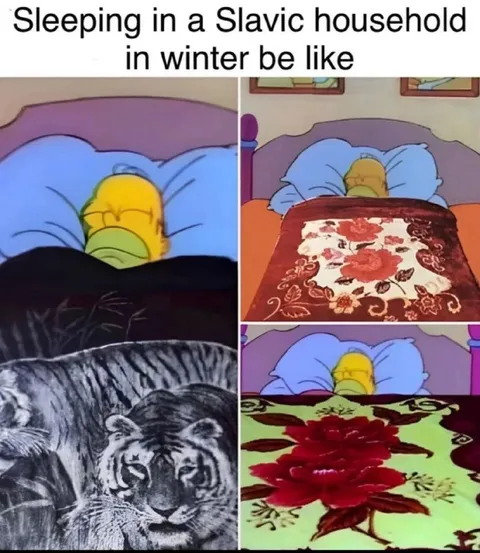 Sleeping in a Slavic Household