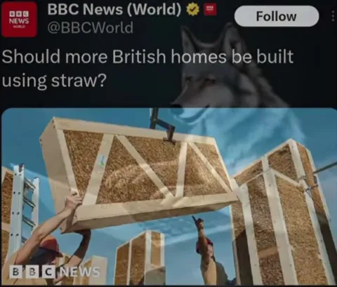 Wolf Builds Straw Houses