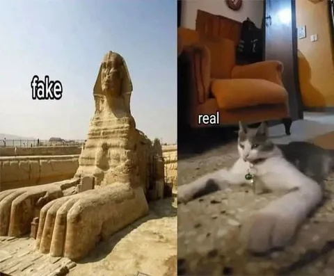 Fake Sphinx vs Real Cat