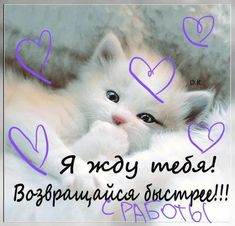 Котёнок ждёт с работы