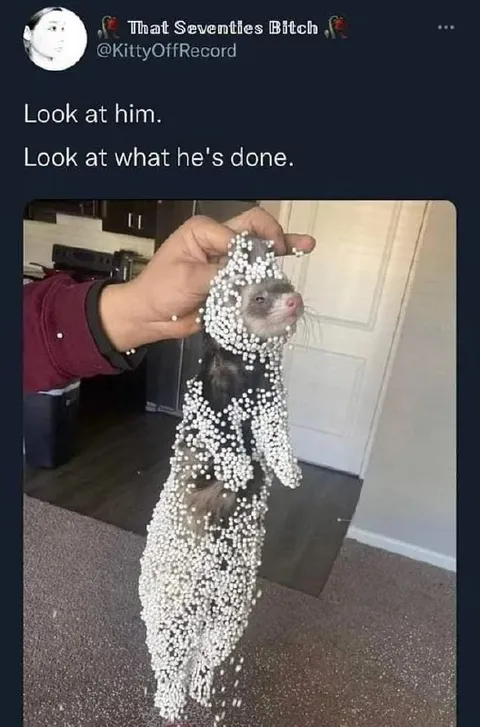 Ferret Covered in Foam Beads