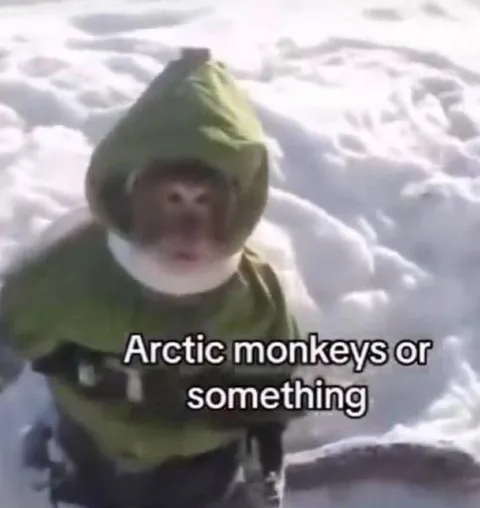 Arctic Monkeys or Something