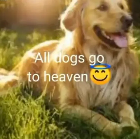 Dogs Go to Heaven, Cops Go to Hell