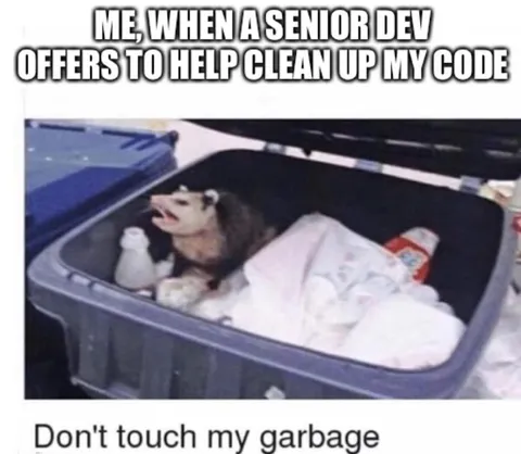 Senior Dev Cleans My Code