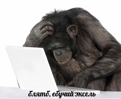 Блять, ебущий эксель