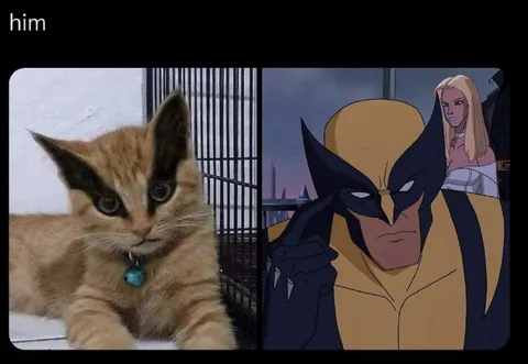 Him: Kitten and Wolverine