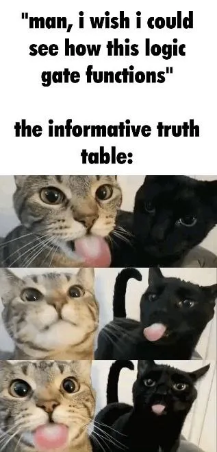 Cats as an Informative Truth Table