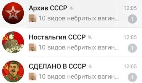 Небритые вагины СССР