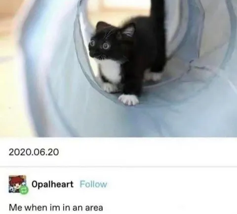 Me When I'm in an Area