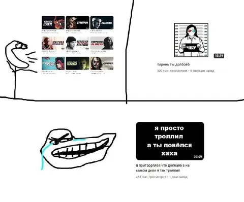 Я просто троллил, а ты повёлся
