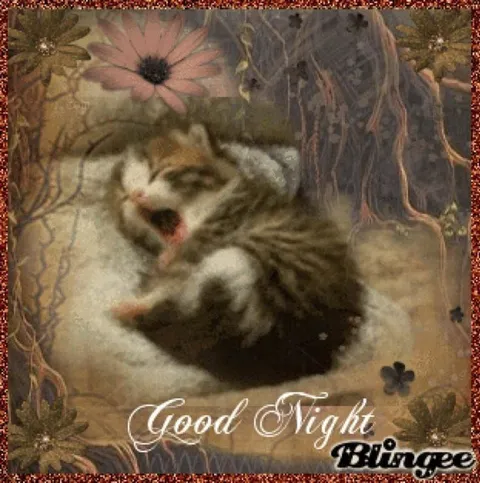 Good Night Sleeping Cat
