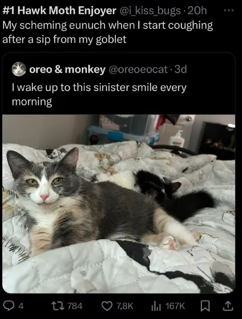Scheming Eunuch Cat Smile