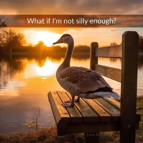 What If I’m Not Silly Enough