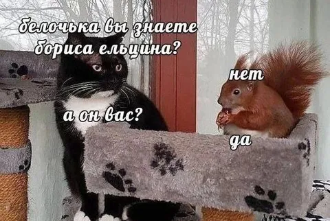 Белочка и Борис Ельцин