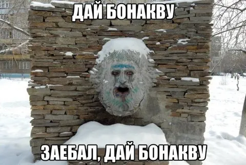Дай бонакву