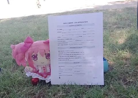 Pink Plush Job Application