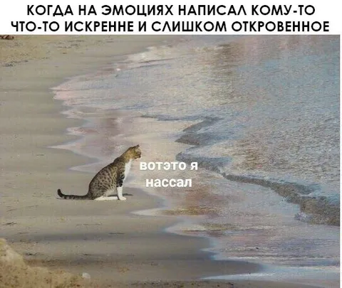 Кот, написавший слишком откровенно