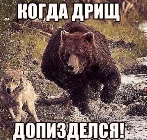 Когда дрищ допизделся