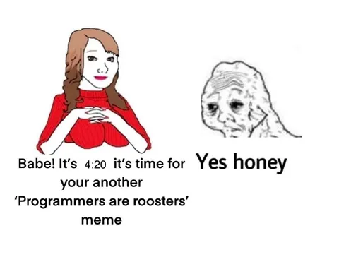 Programmers Are Roosters Meme
