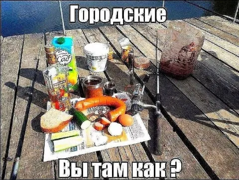 Городские, вы там как?
