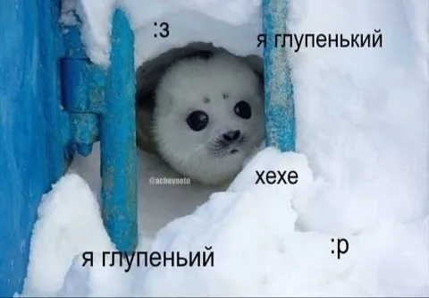 Я глупенький хехе