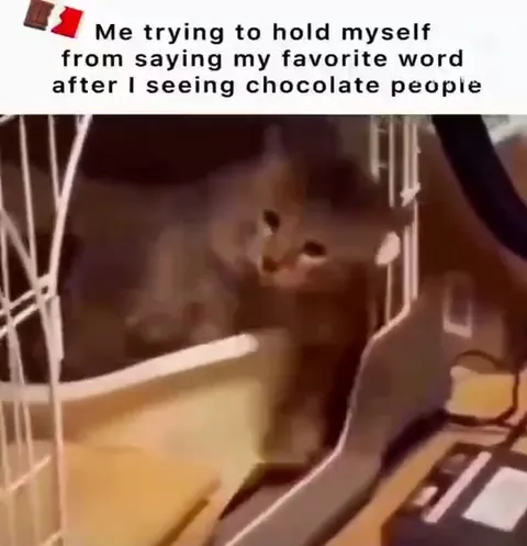 Hamster Trying Not to Say It